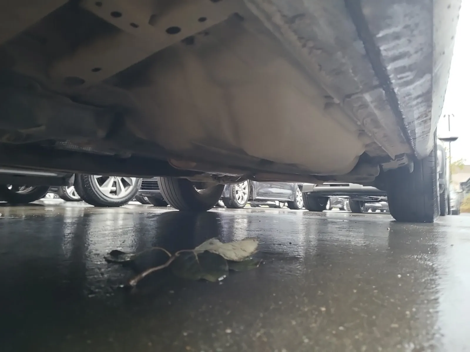 Undercarriage - Driver Photo