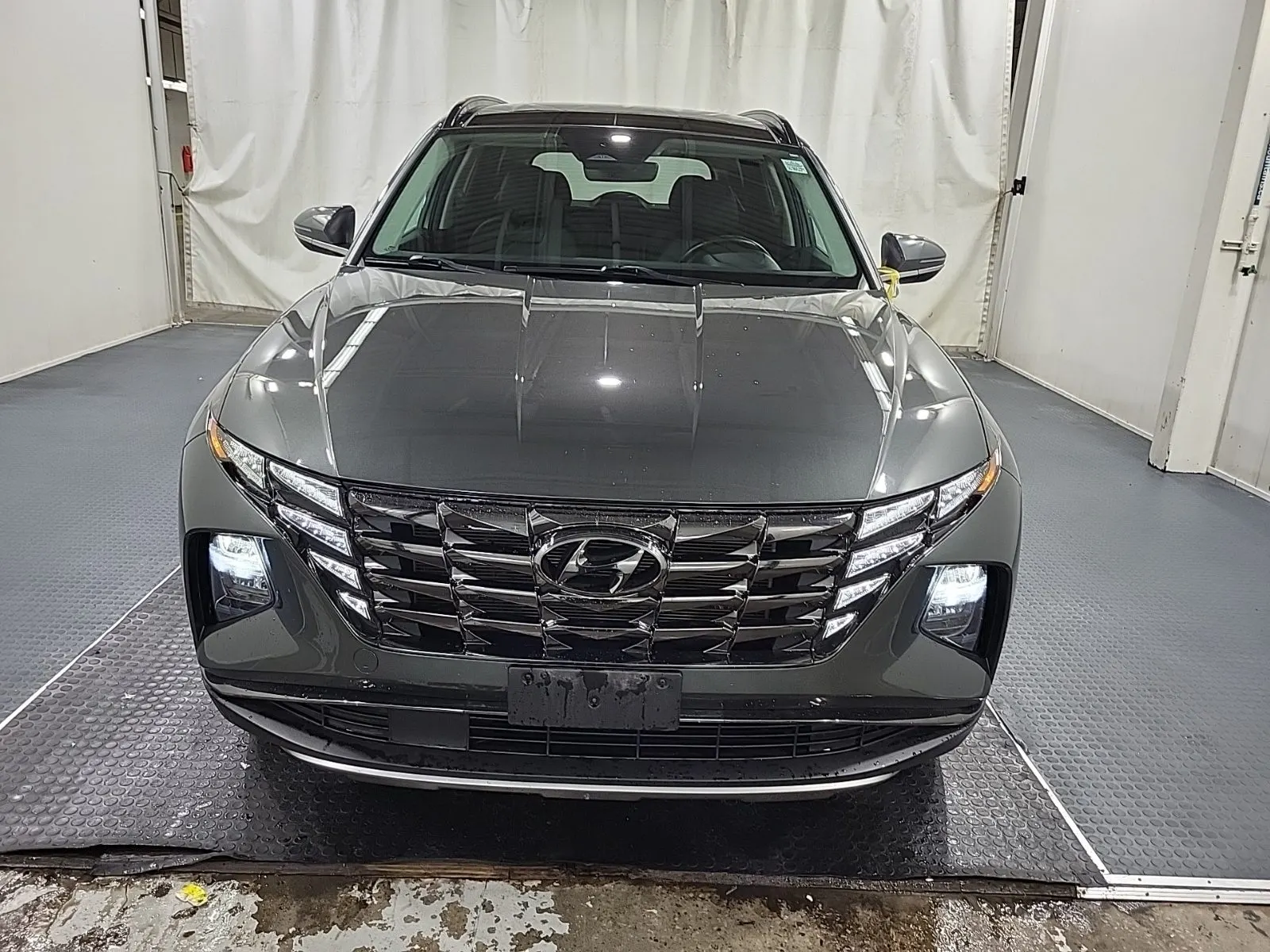 Full Front Photo