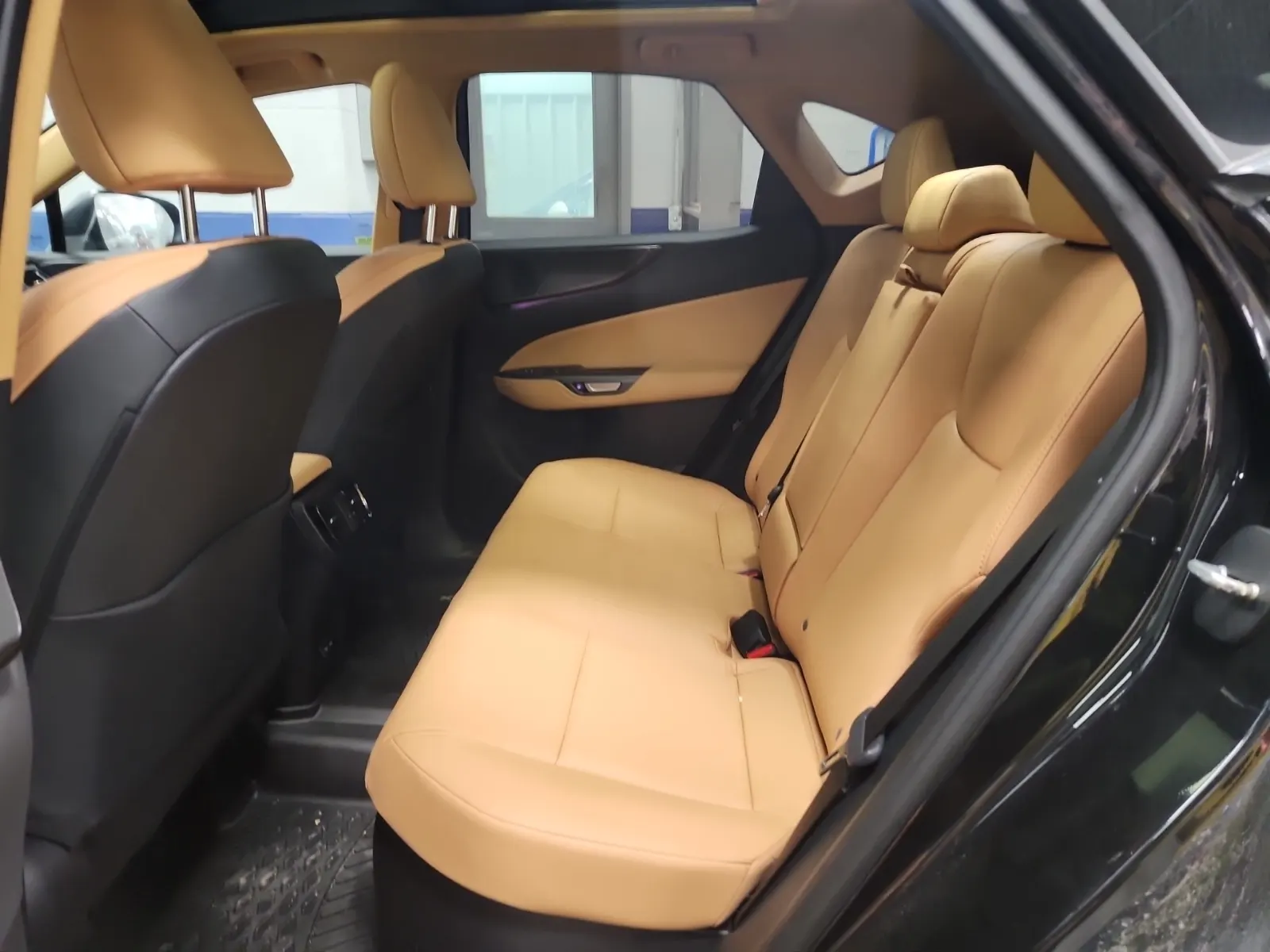 Rear Interior Photo