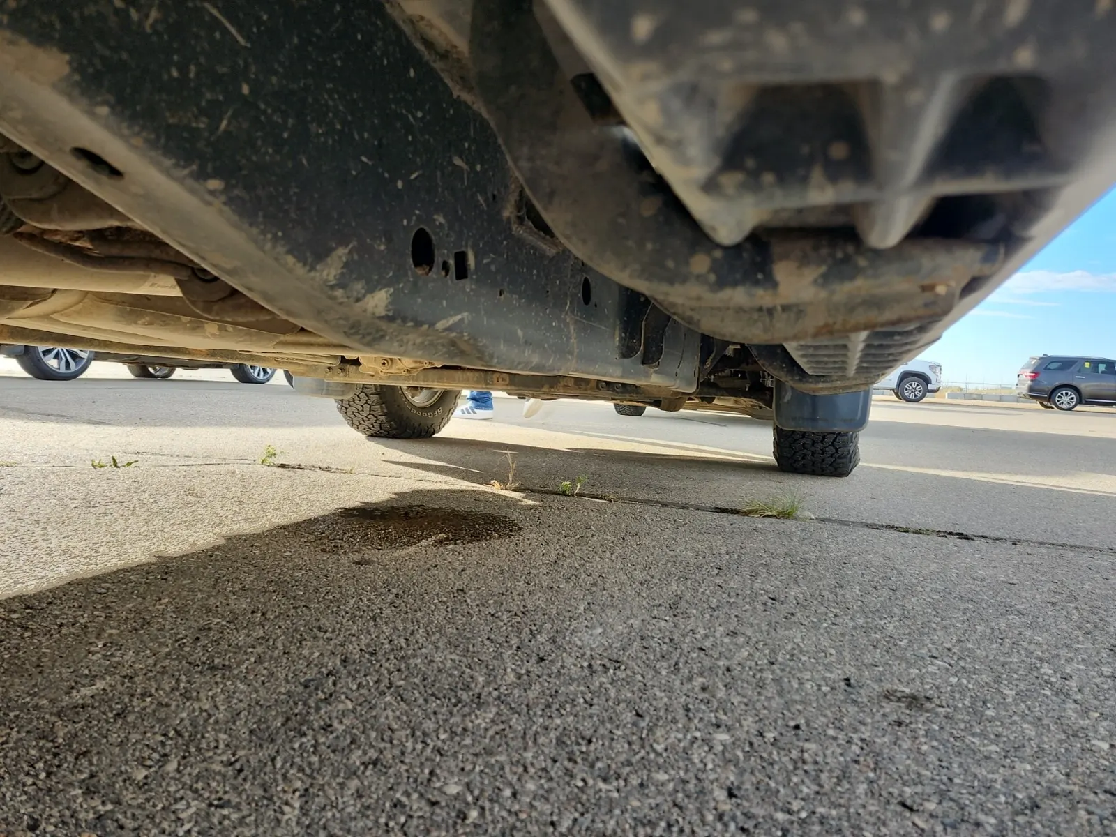Undercarriage - Passenger Photo