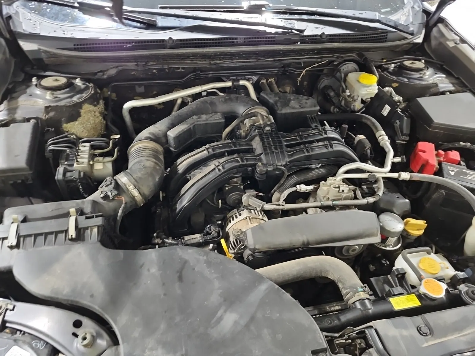 Engine Photo
