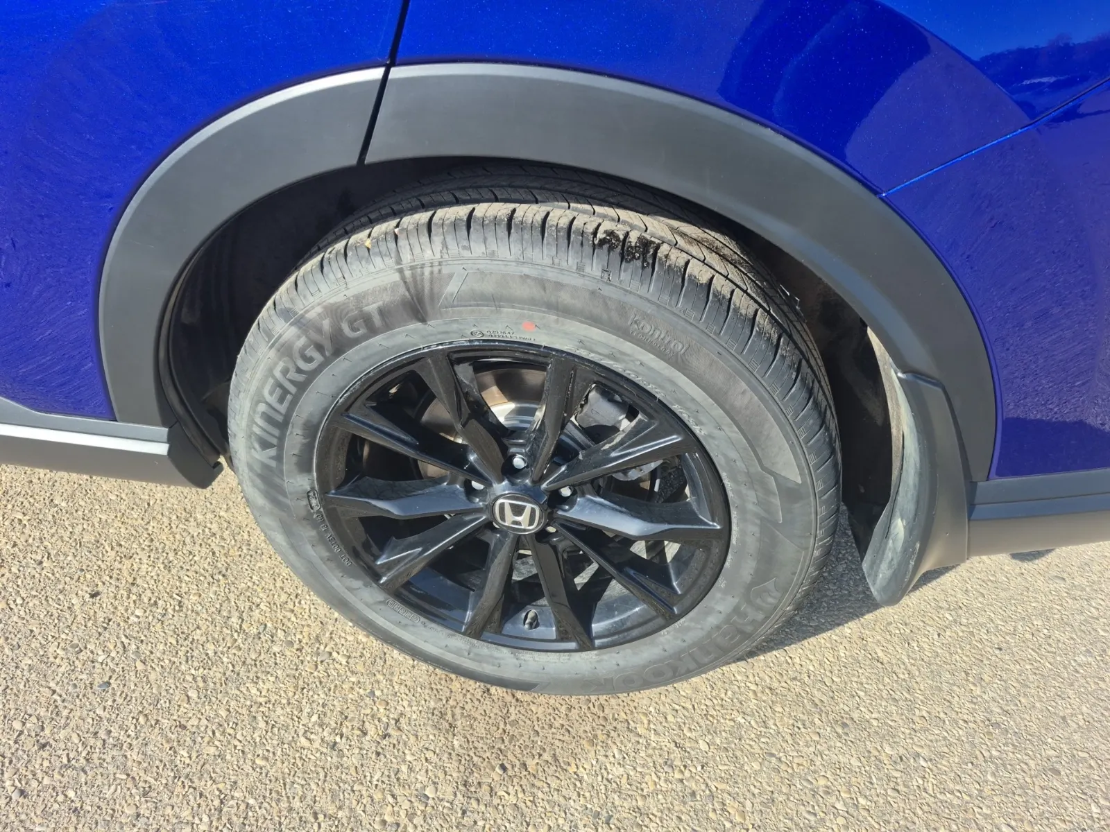 Left Rear Wheel/Tire Photo