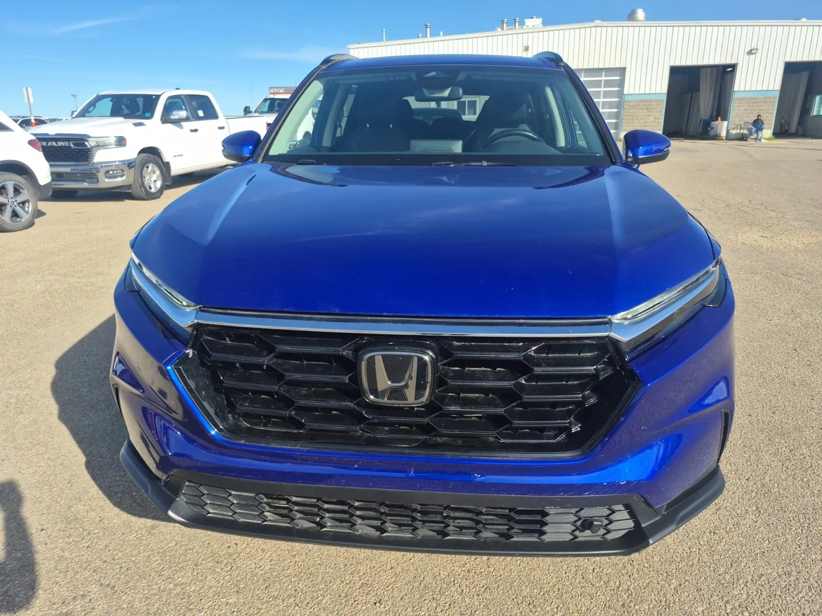 Full Front Photo
