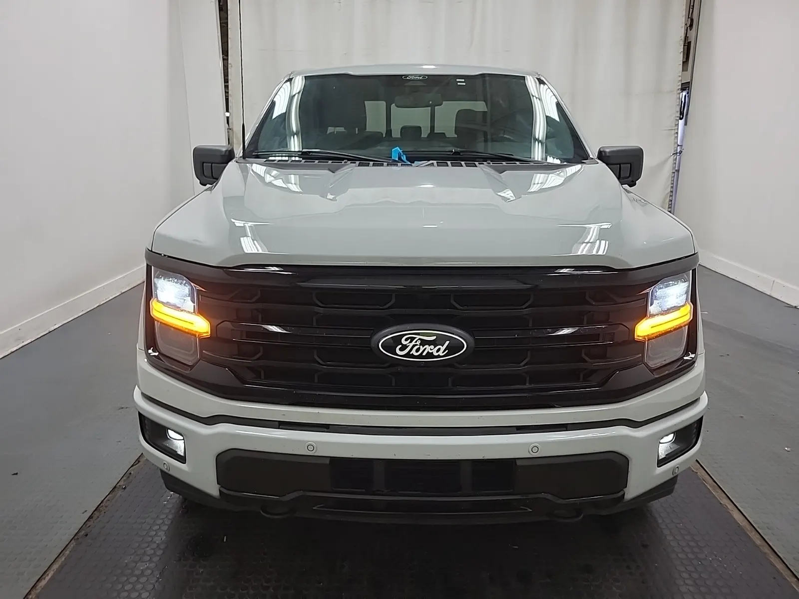 Full Front Photo
