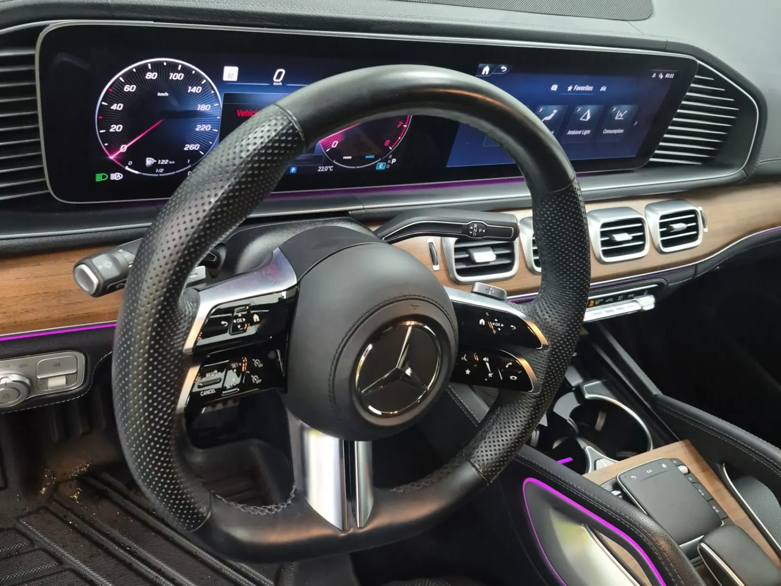 Steering Wheel