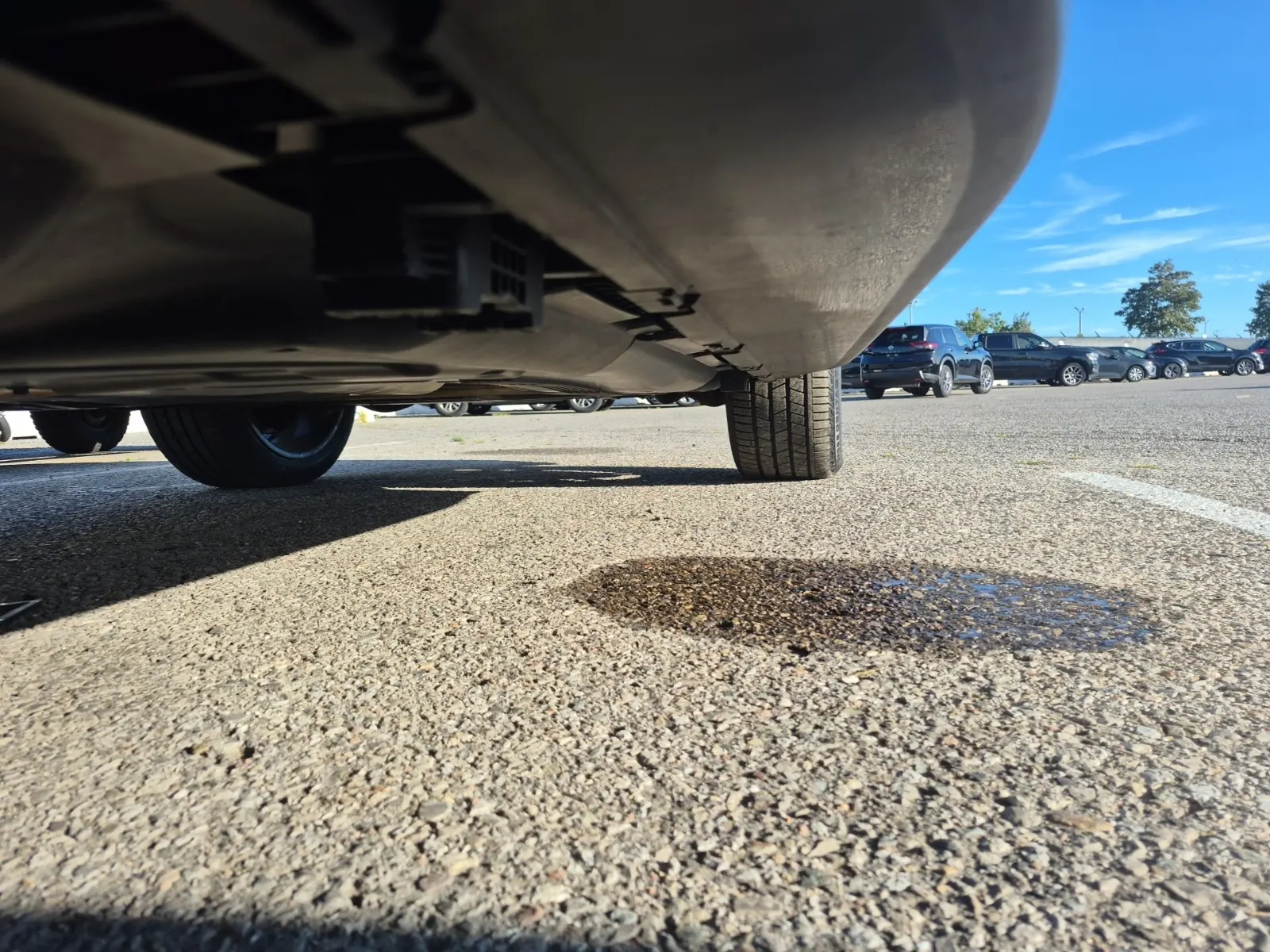 Undercarriage - Passenger Photo