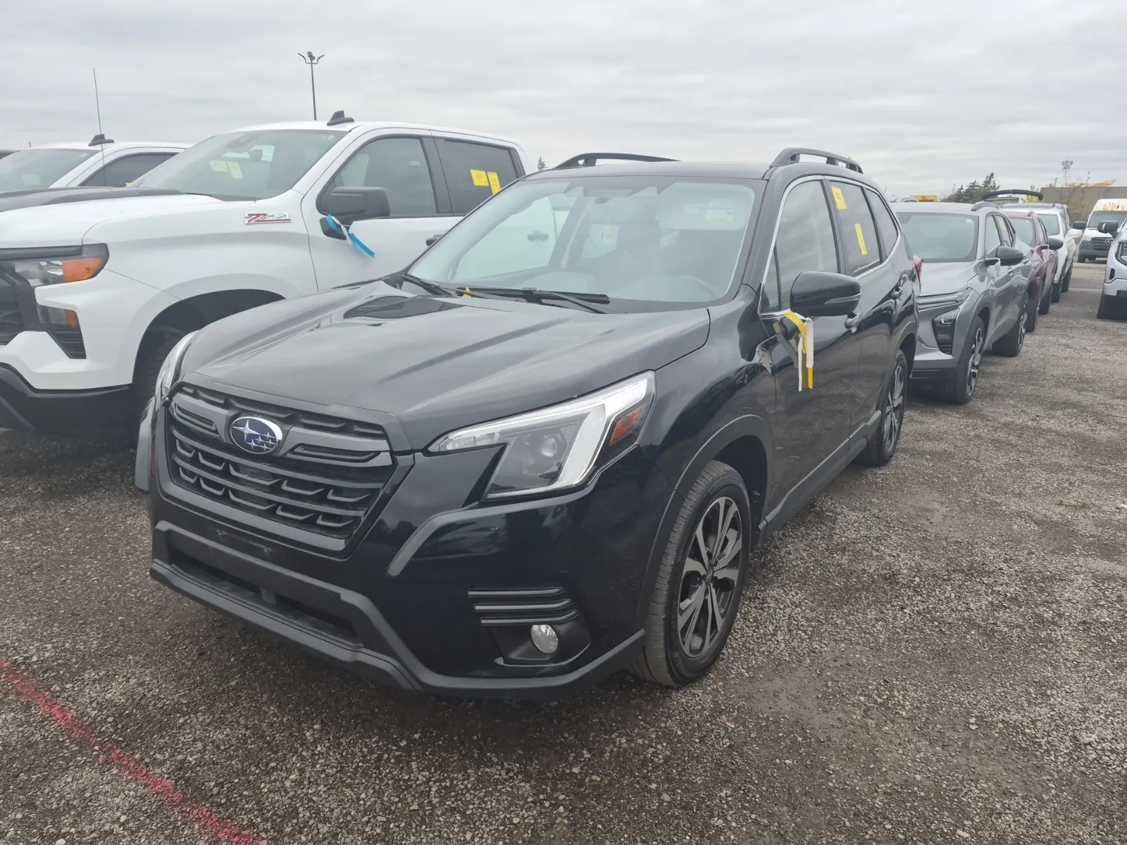 2023 Subaru Forester