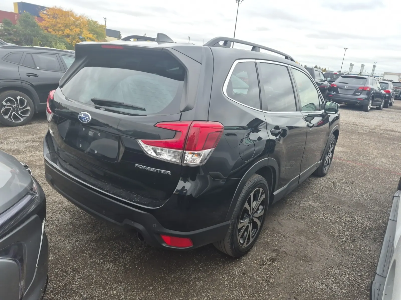 Passenger Rear 3/4 Photo