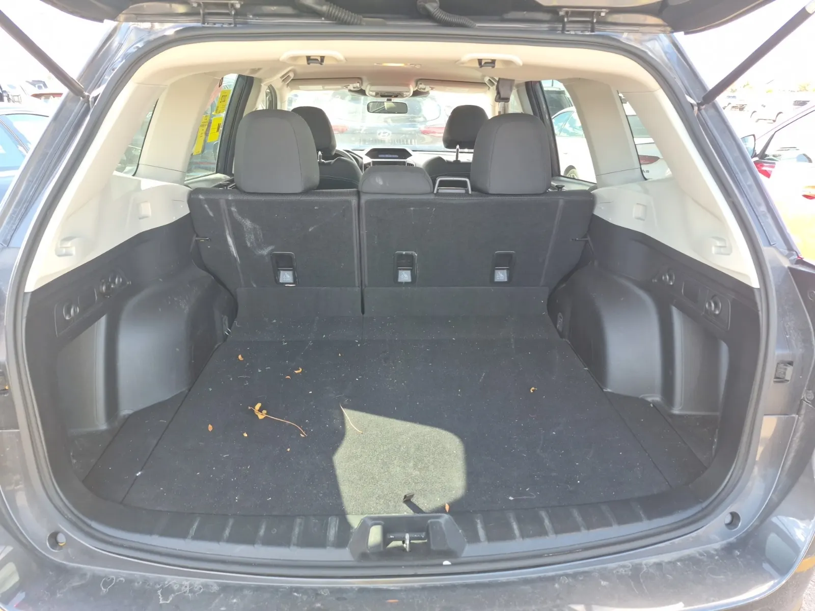 Cargo Area Photo
