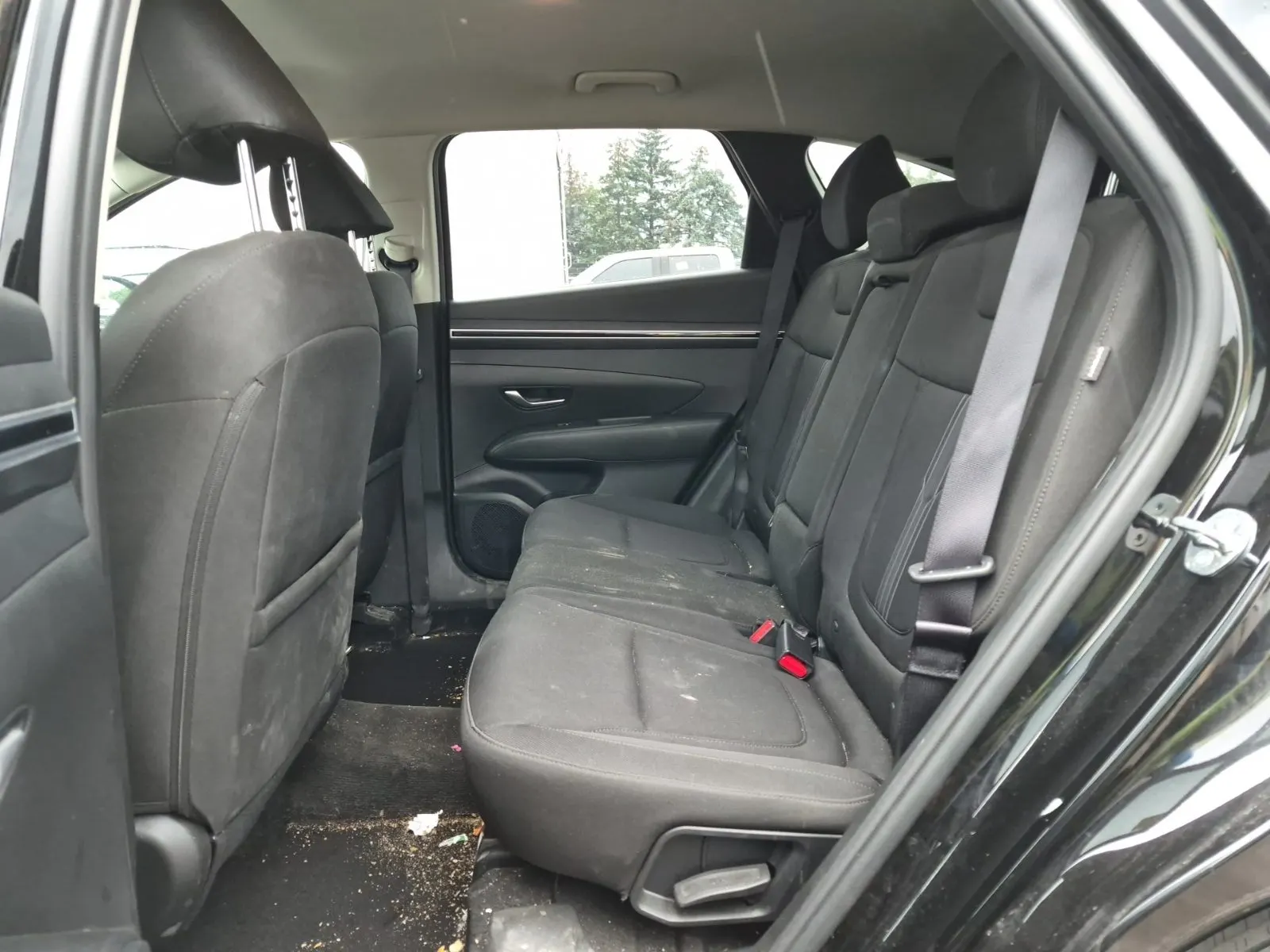 Rear Interior Photo