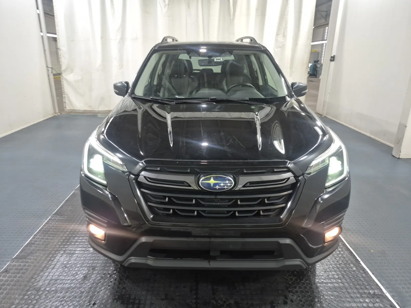 Full Front Photo