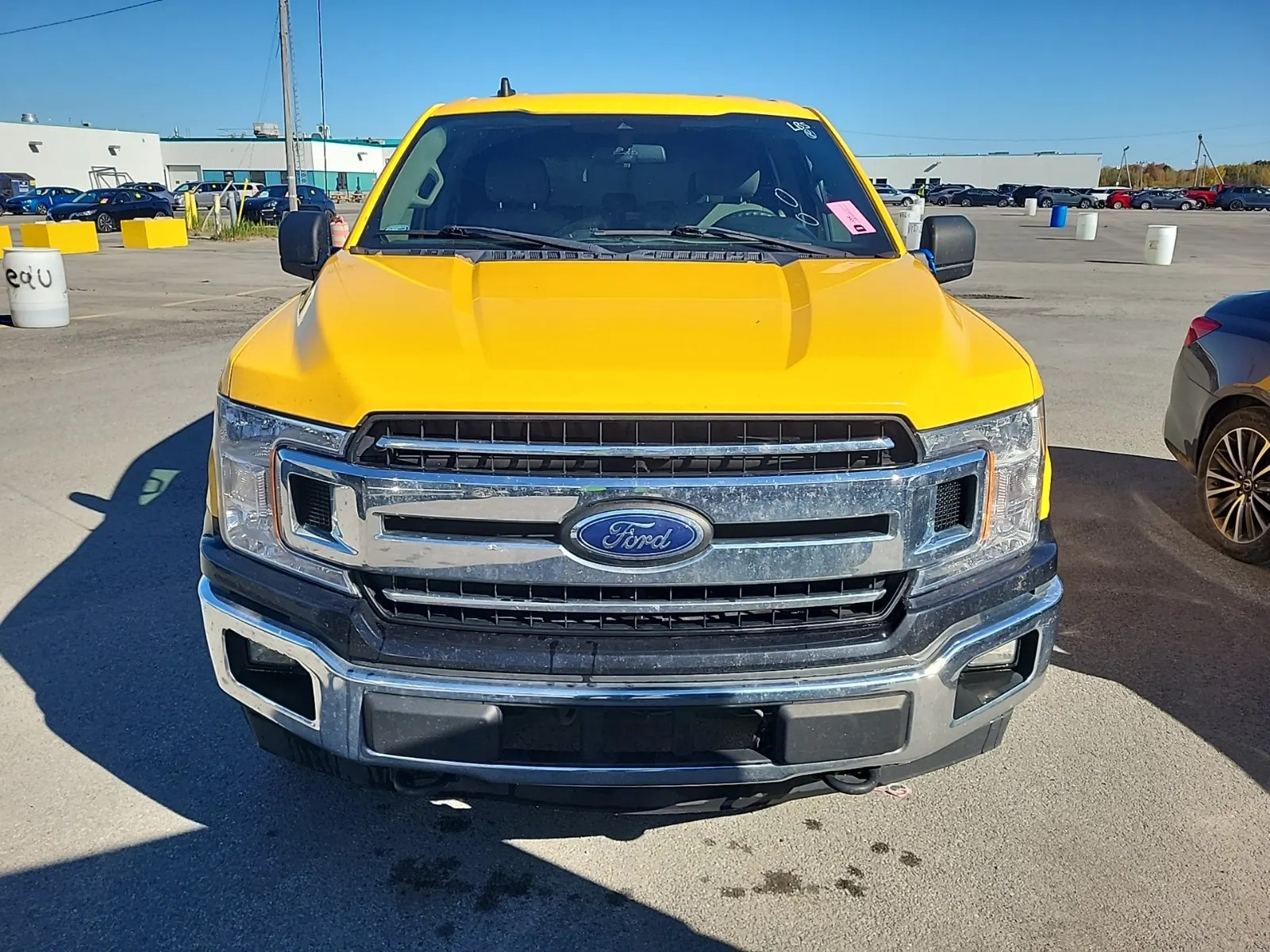 Full Front Photo