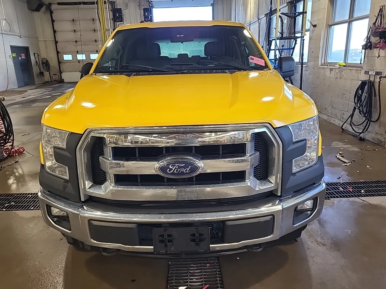 Full Front Photo