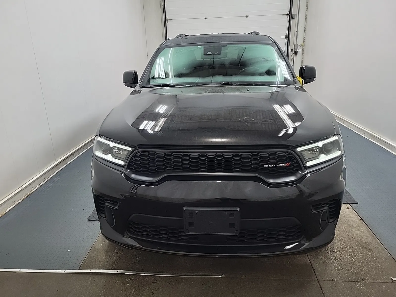 Full Front Photo