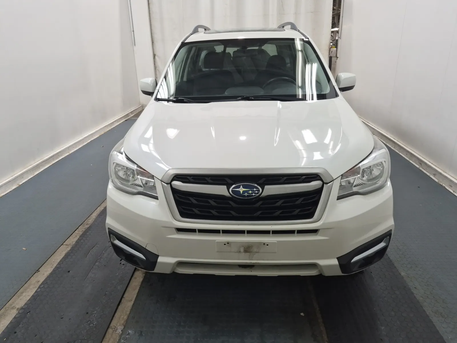 Full Front Photo