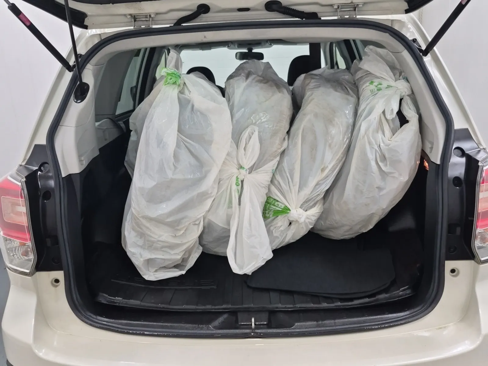 Cargo Area Photo