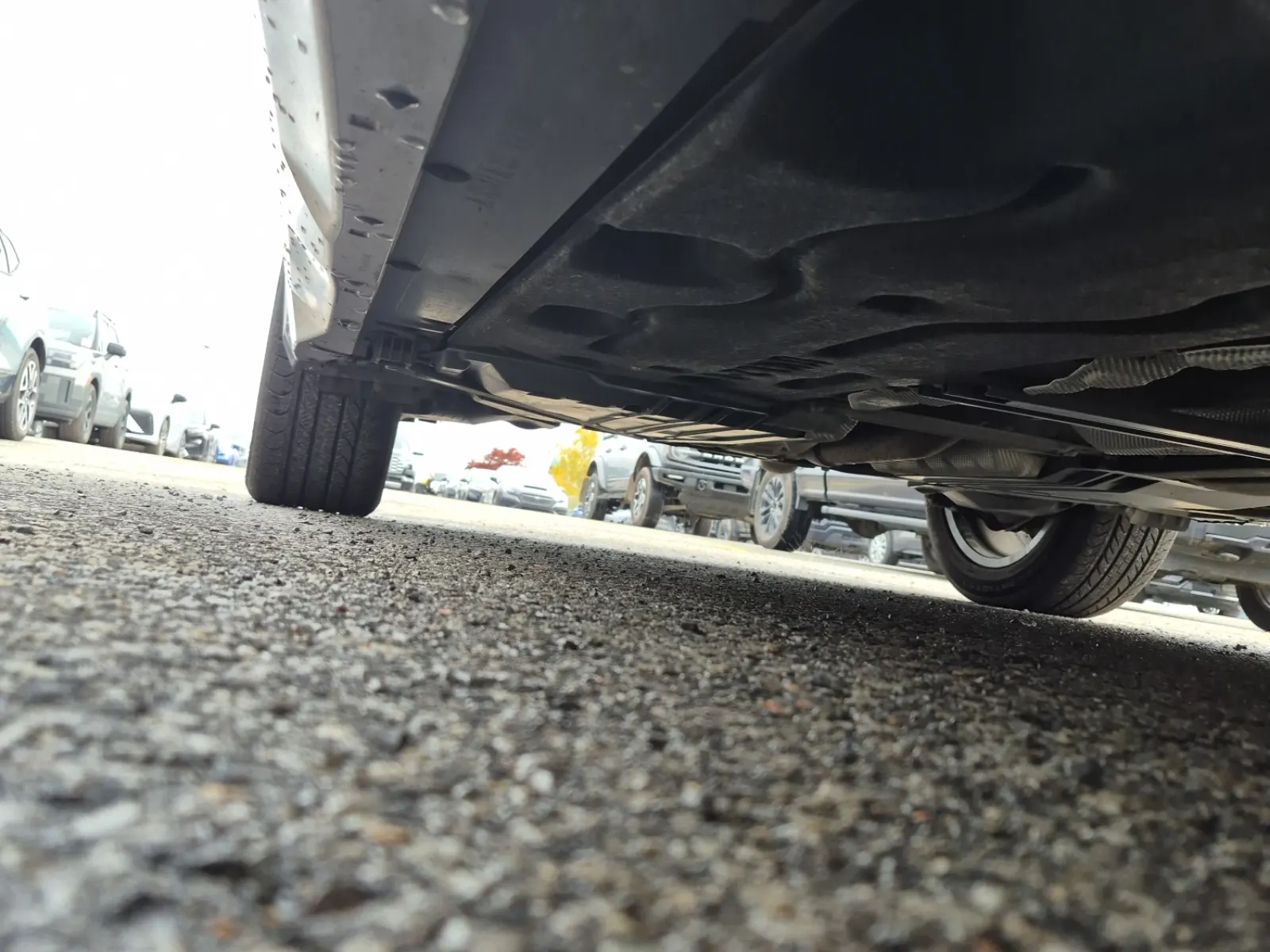 Undercarriage - Passenger Photo