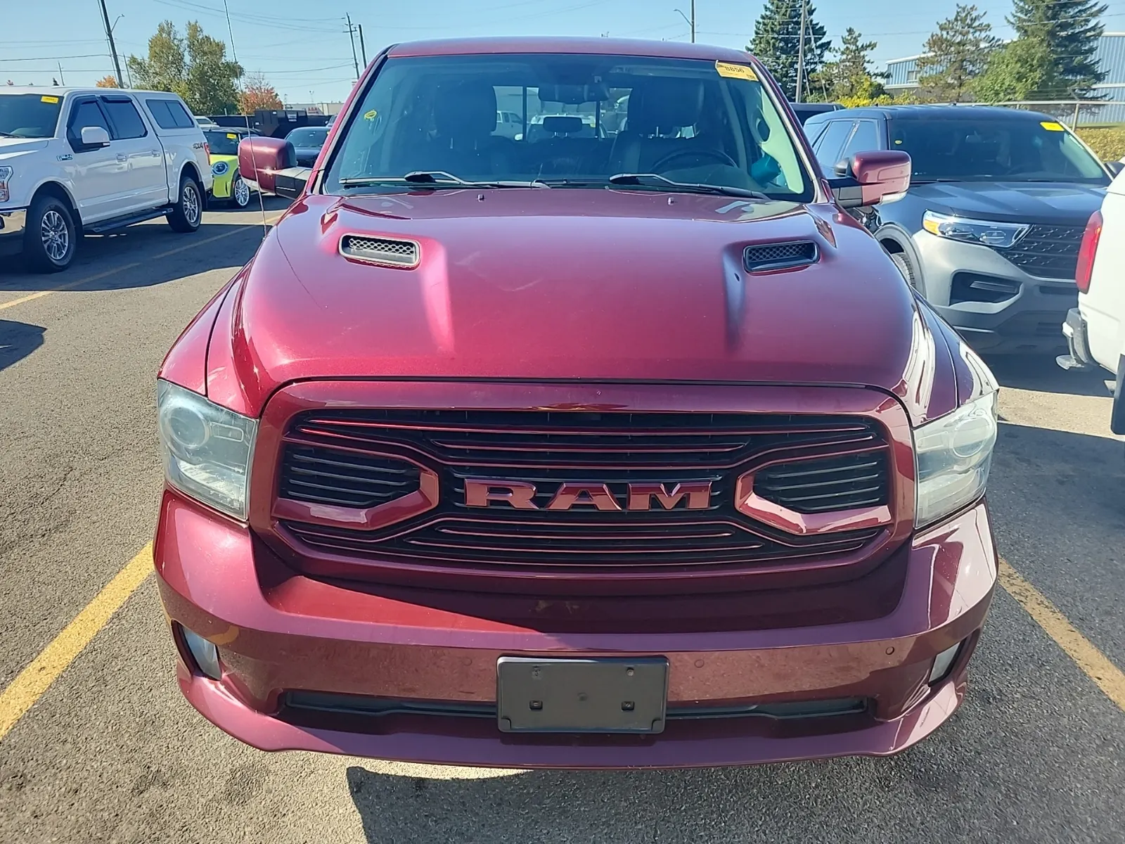 Full Front Photo