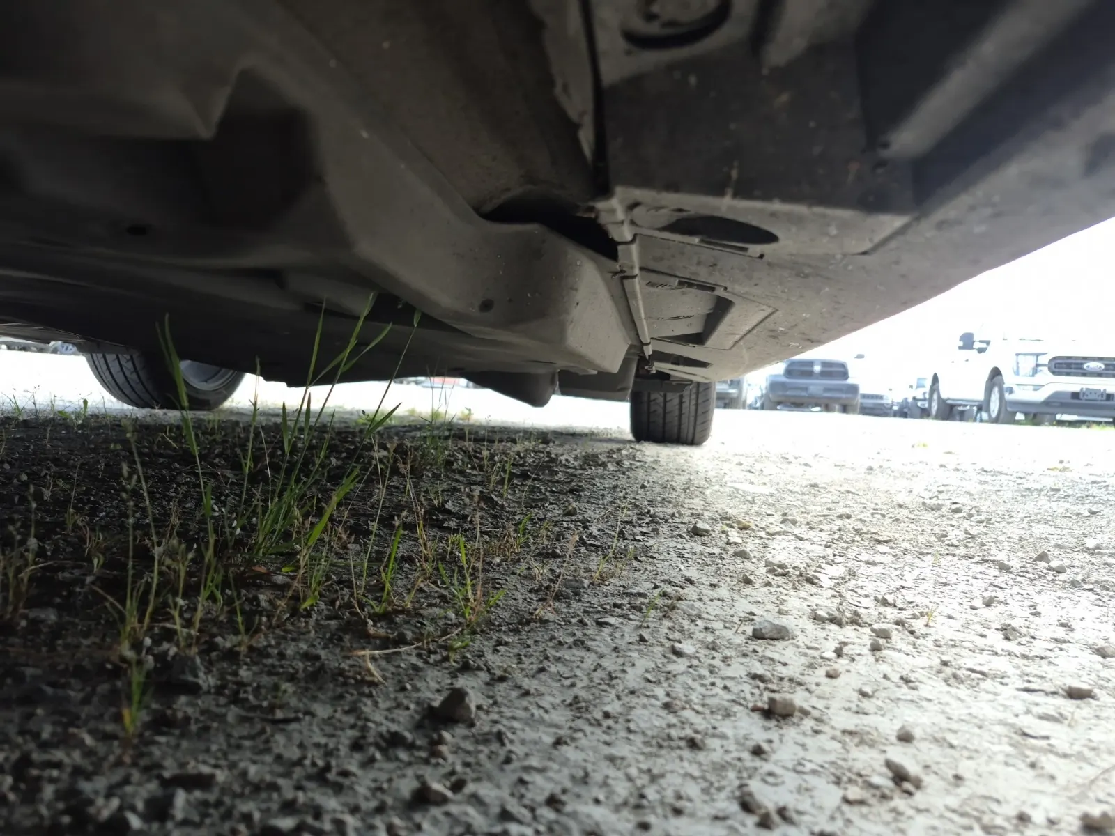 Undercarriage - Driver Photo