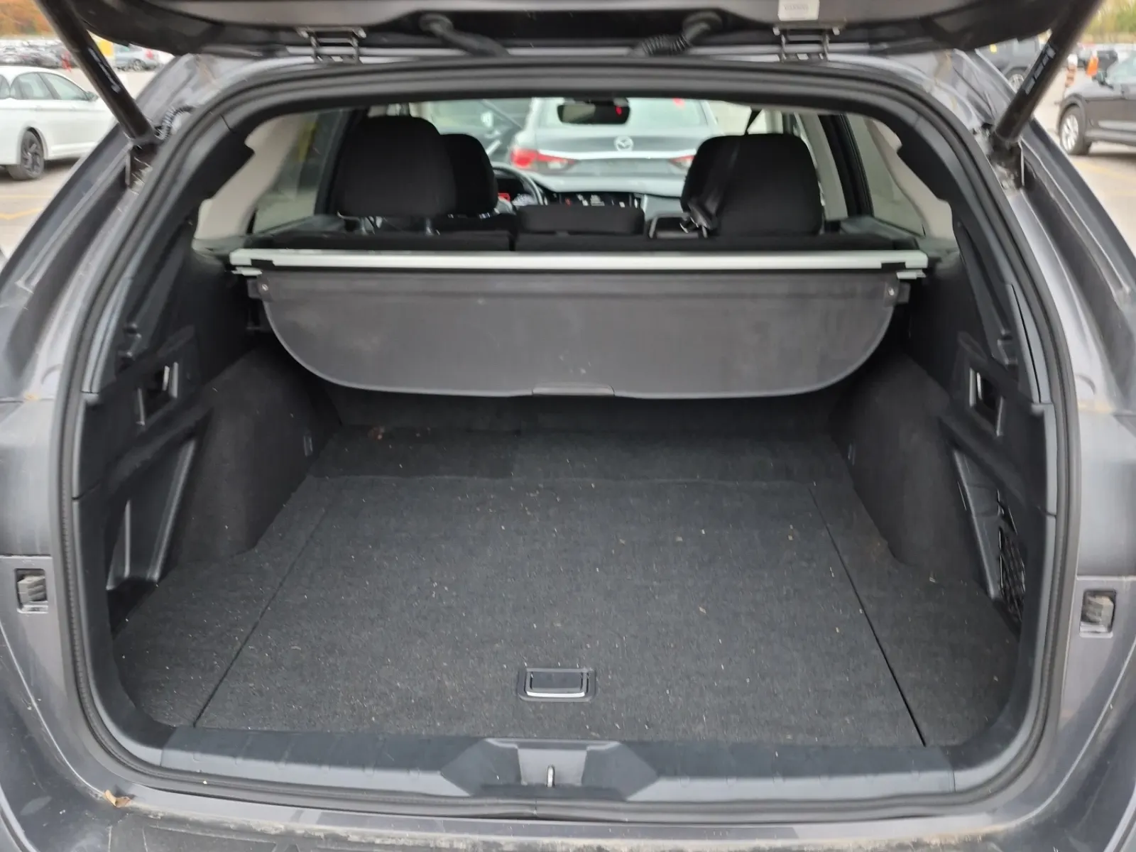 Cargo Area Photo