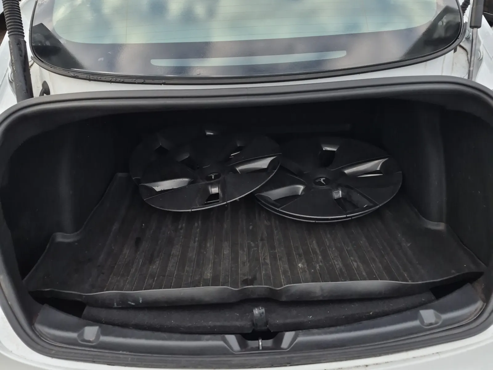 Cargo Area Photo