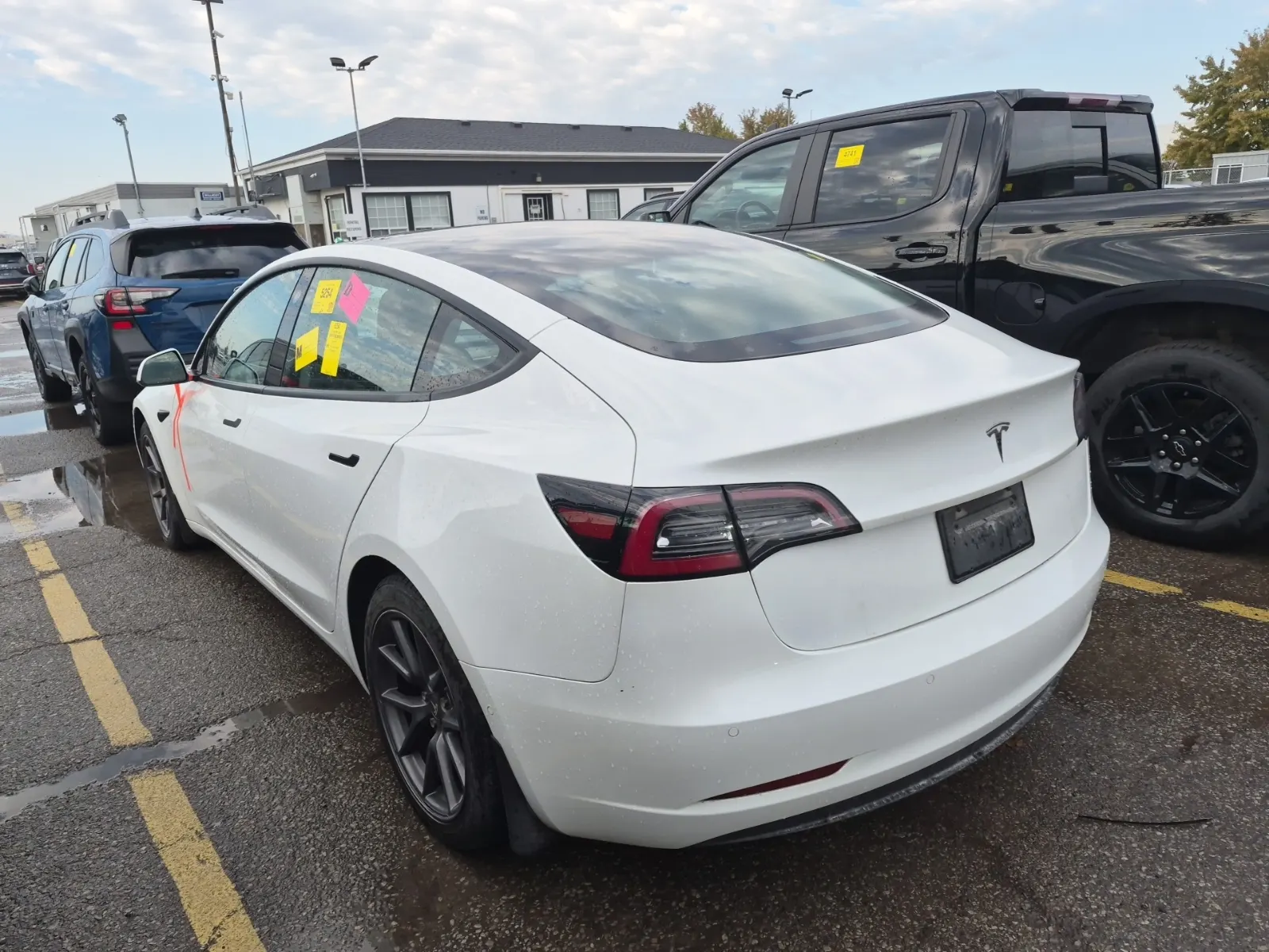 Driver Rear 3/4 Photo
