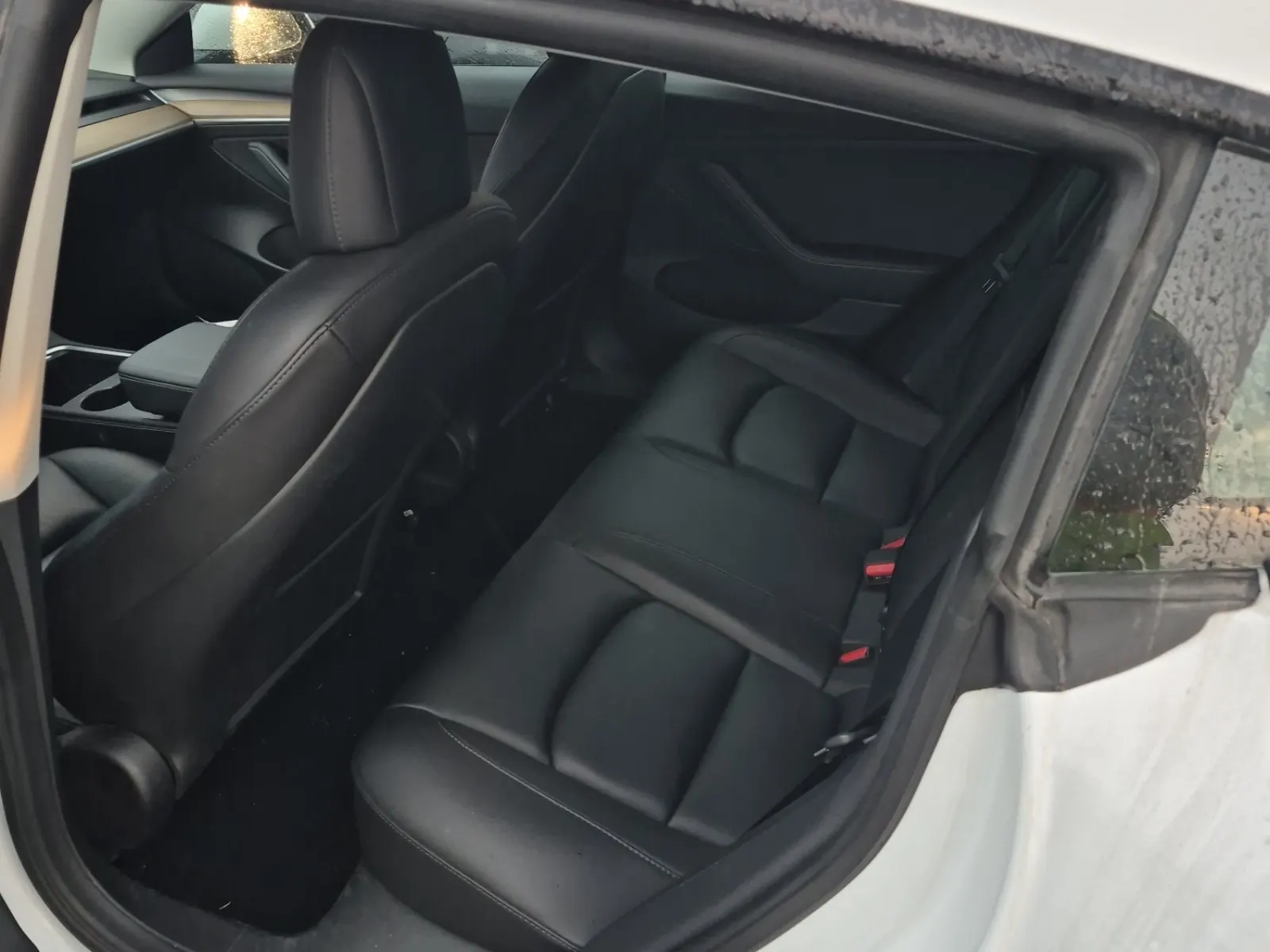 Rear Interior Photo