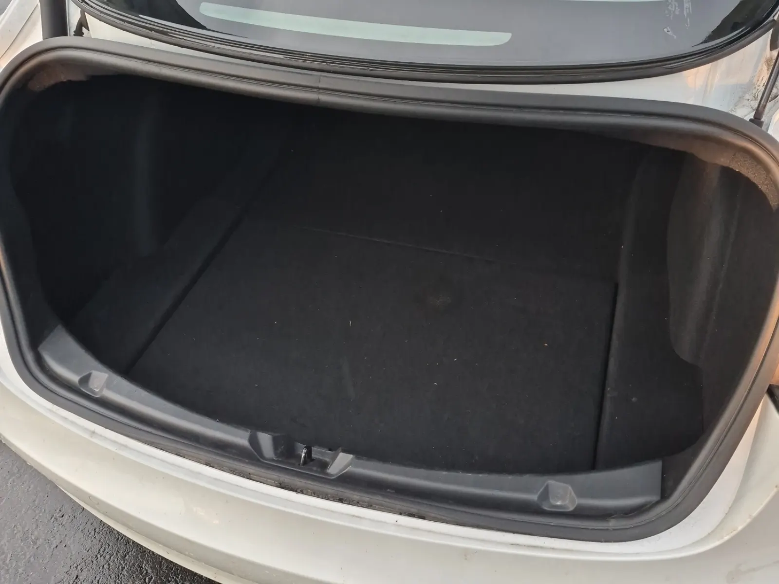 Cargo Area Photo