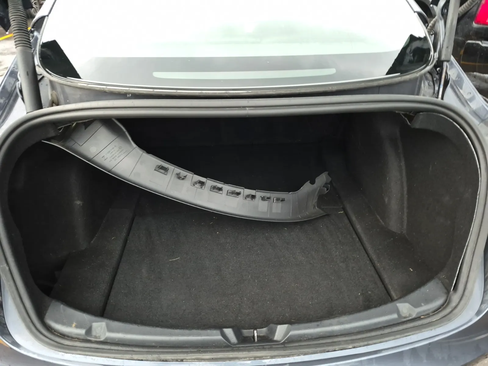 Cargo Area Photo