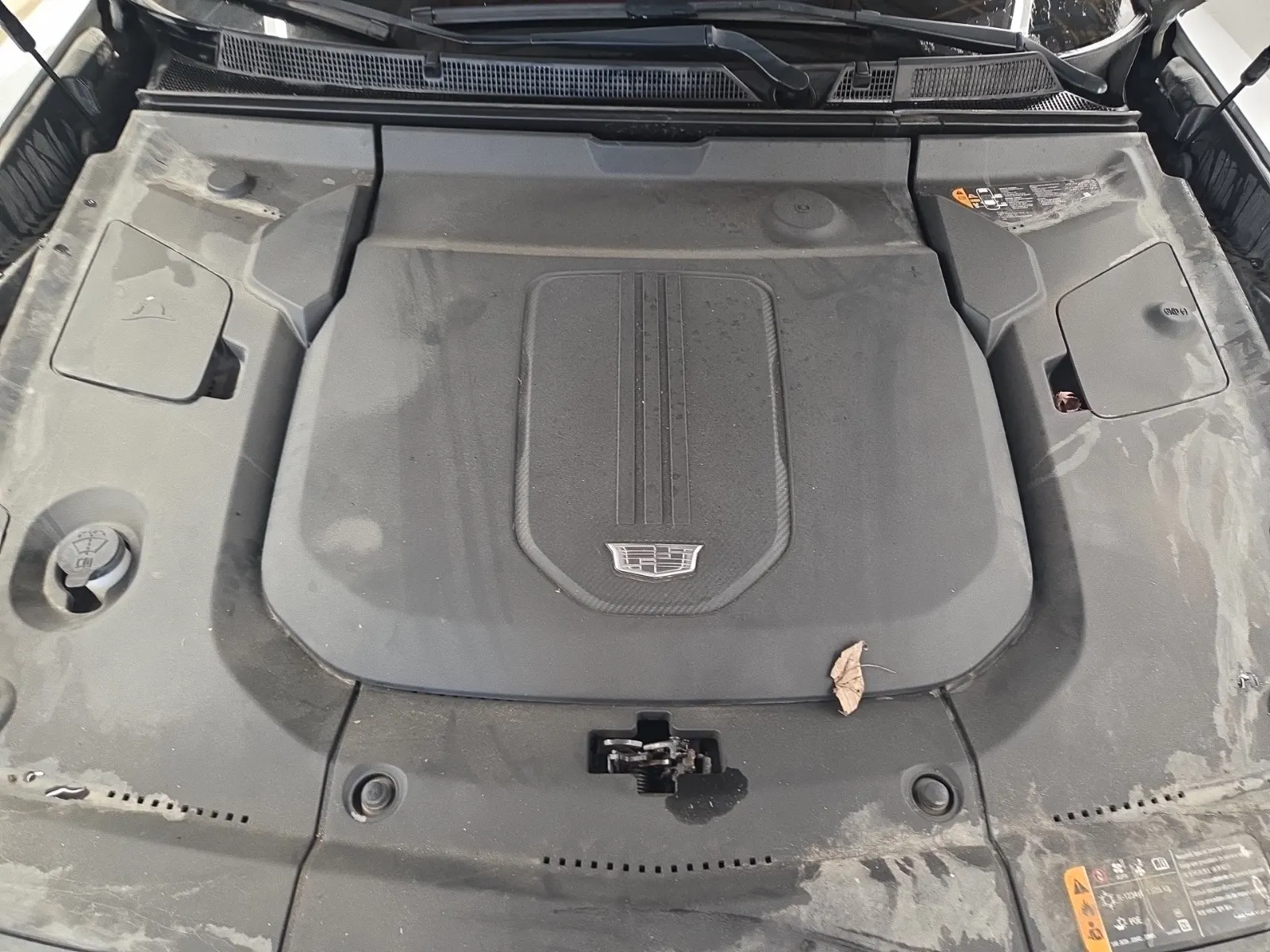 Engine Photo