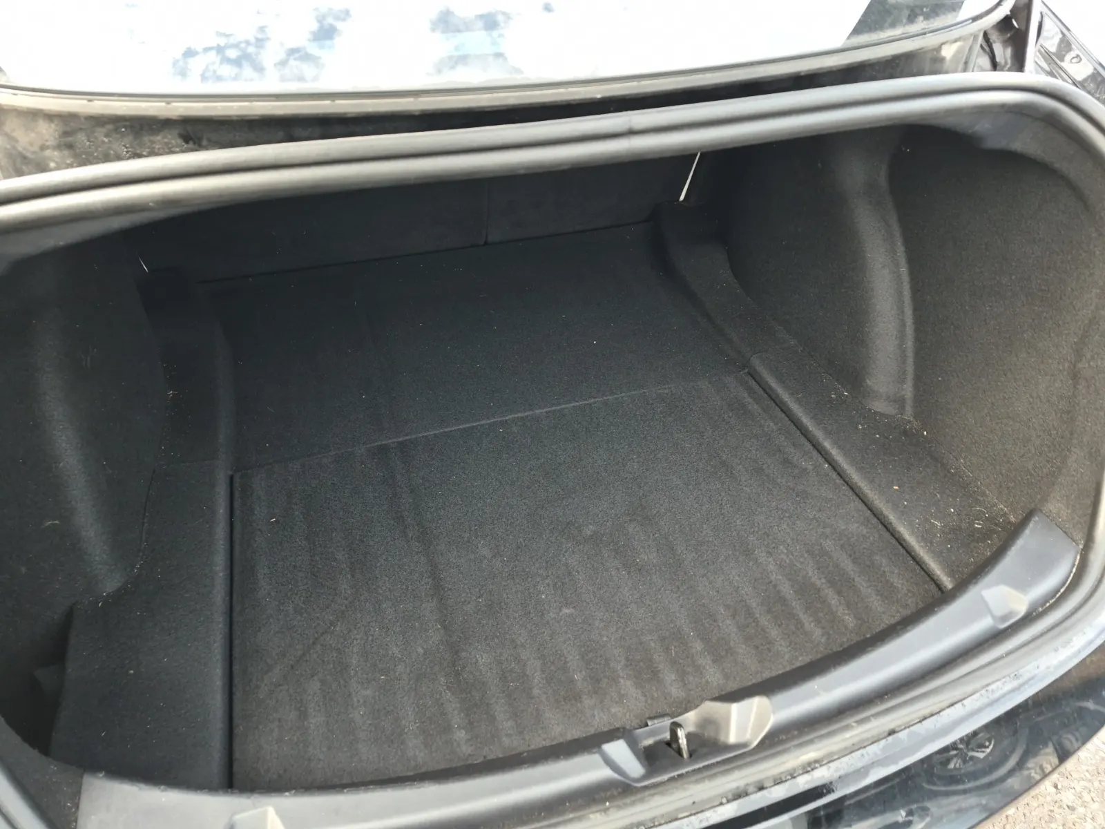 Cargo Area Photo
