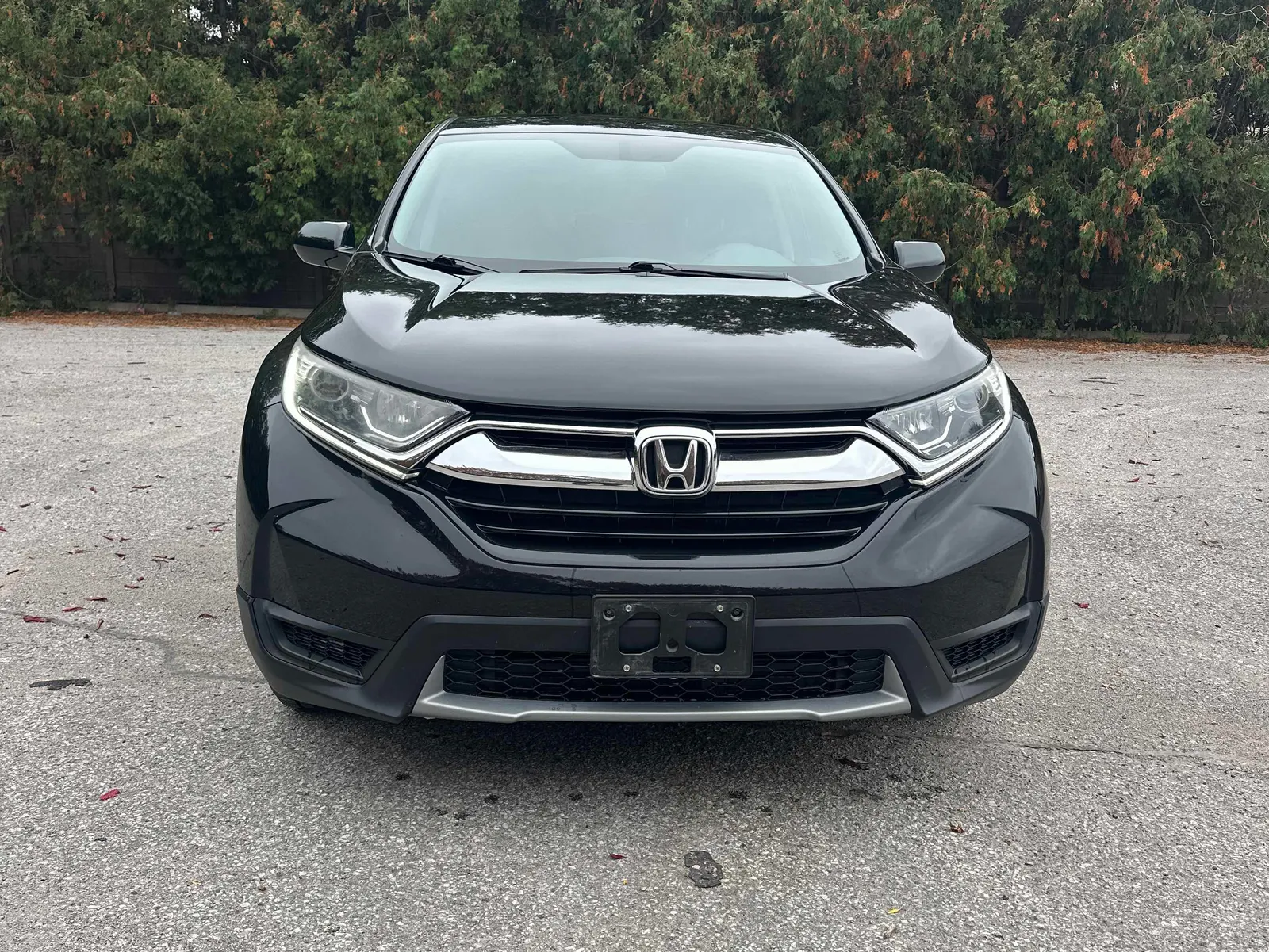Front
