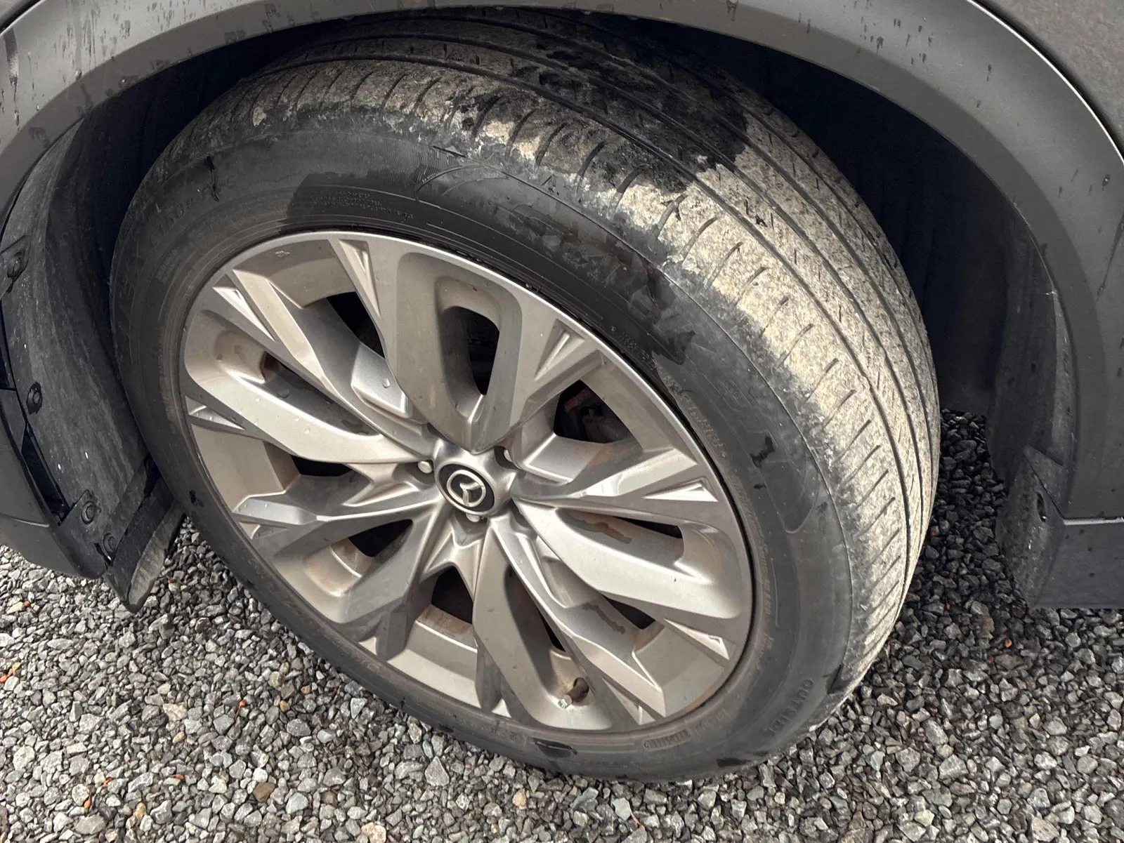 Tire