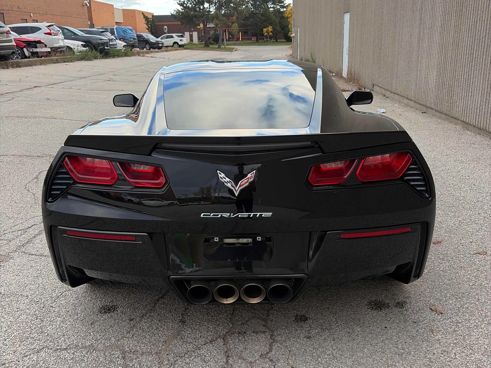 Back