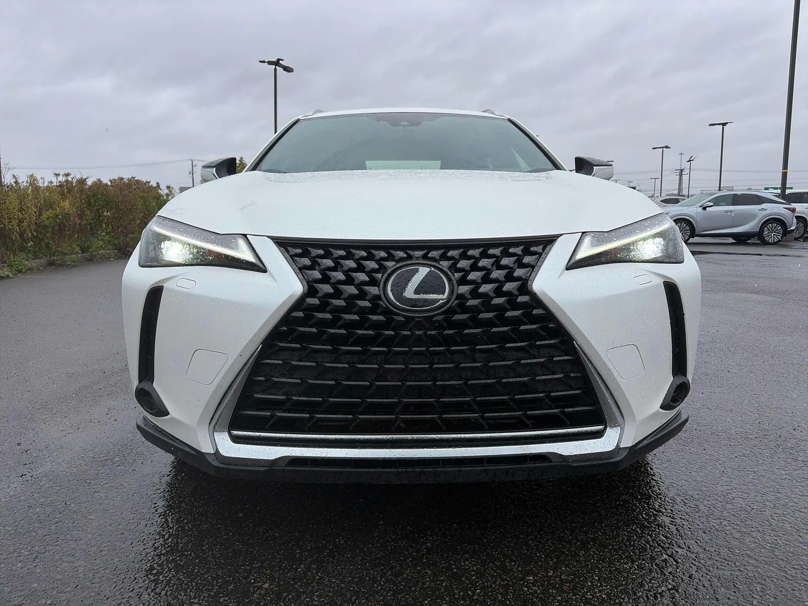 Front