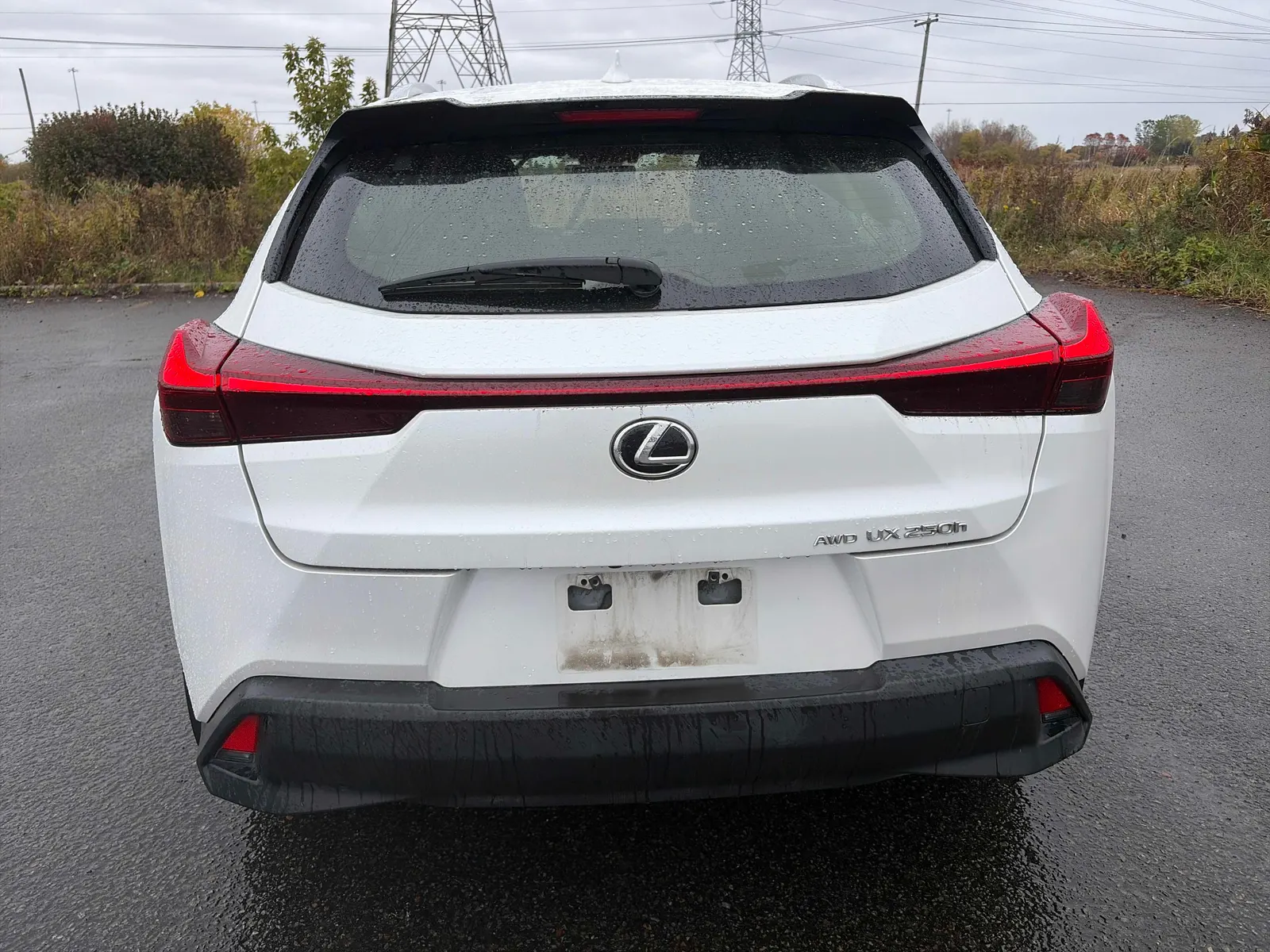 Back