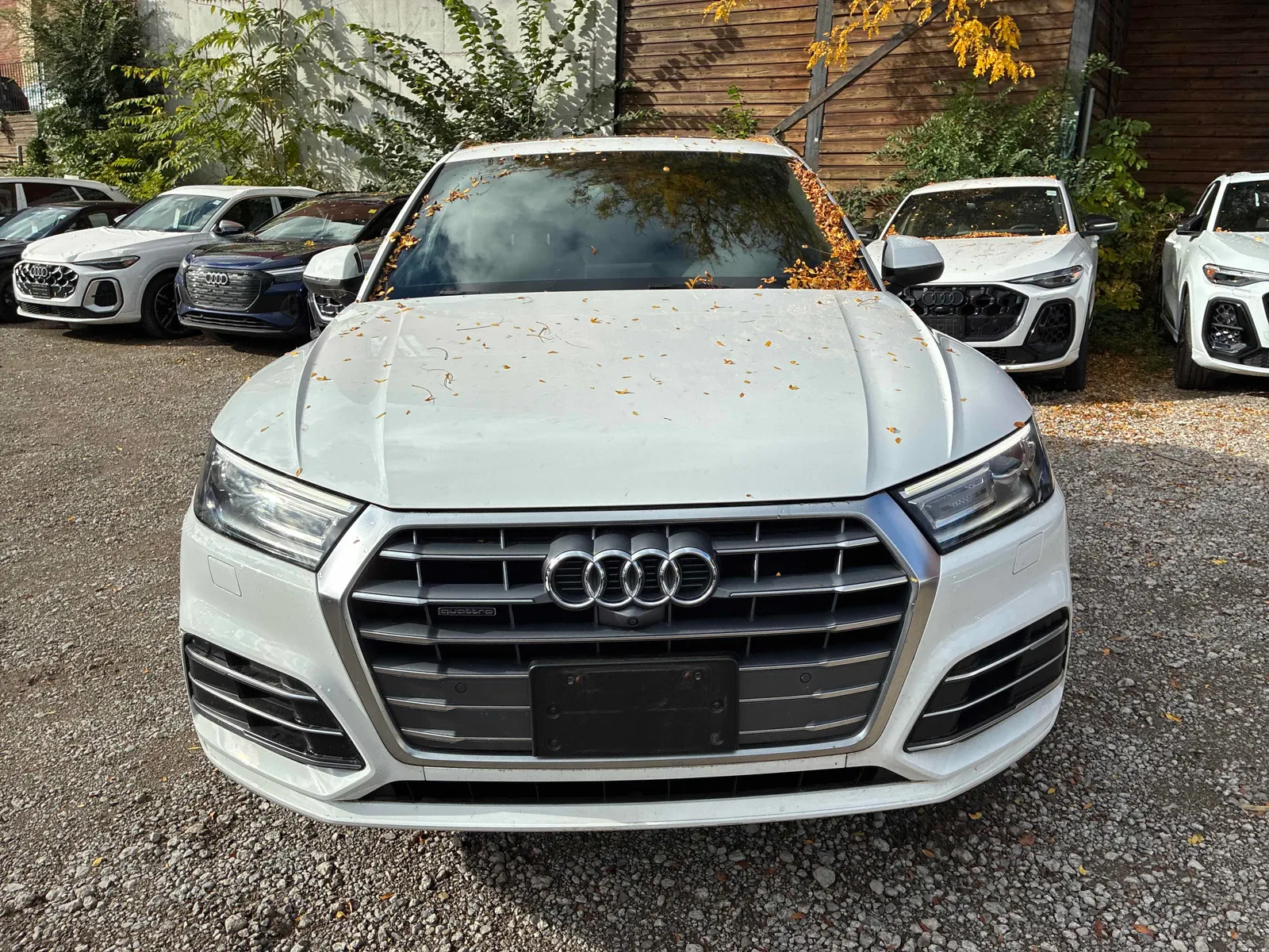 Front