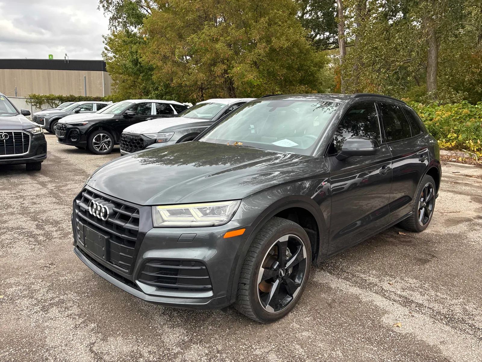 2019 Audi Q5
