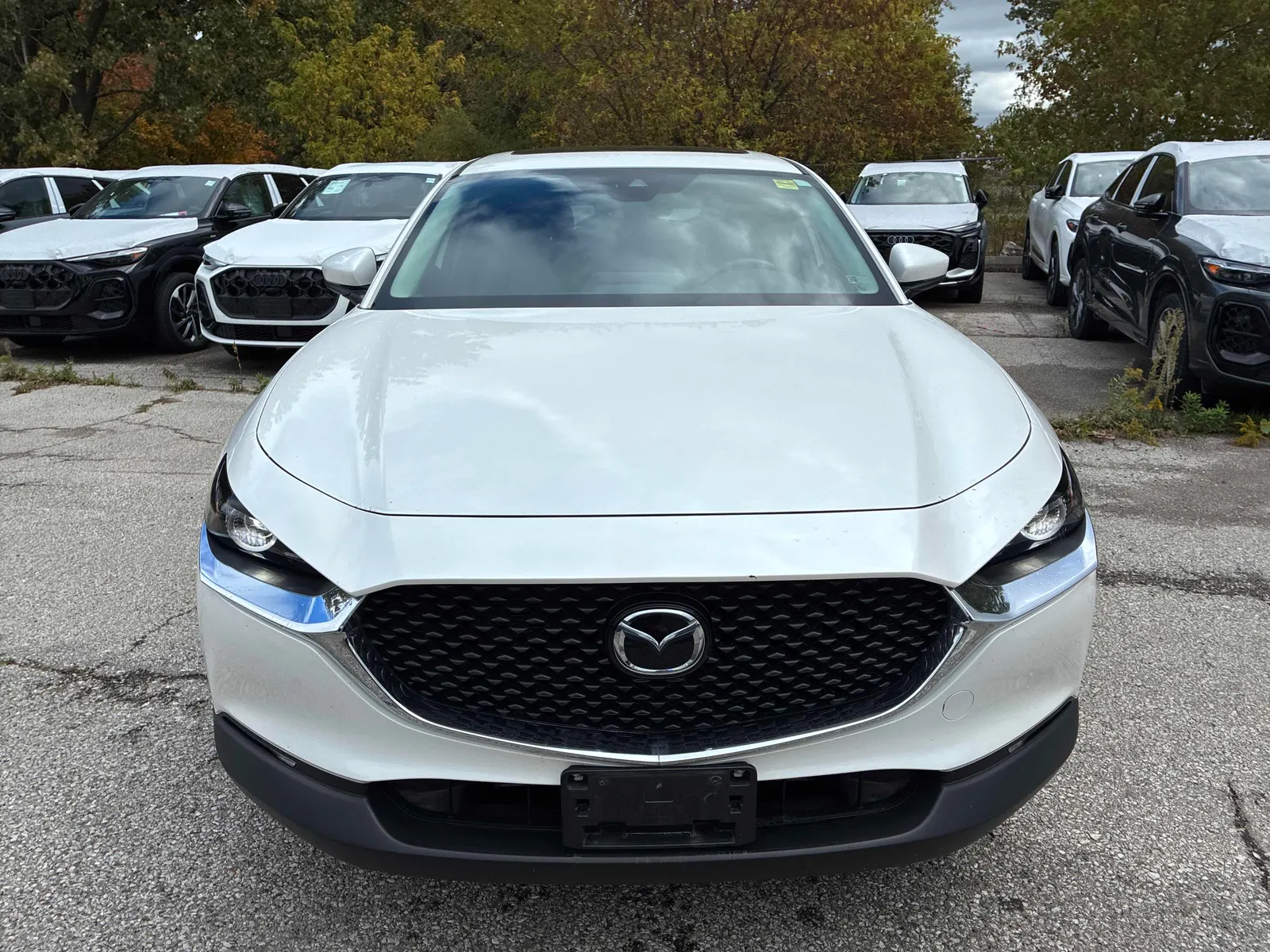 Front