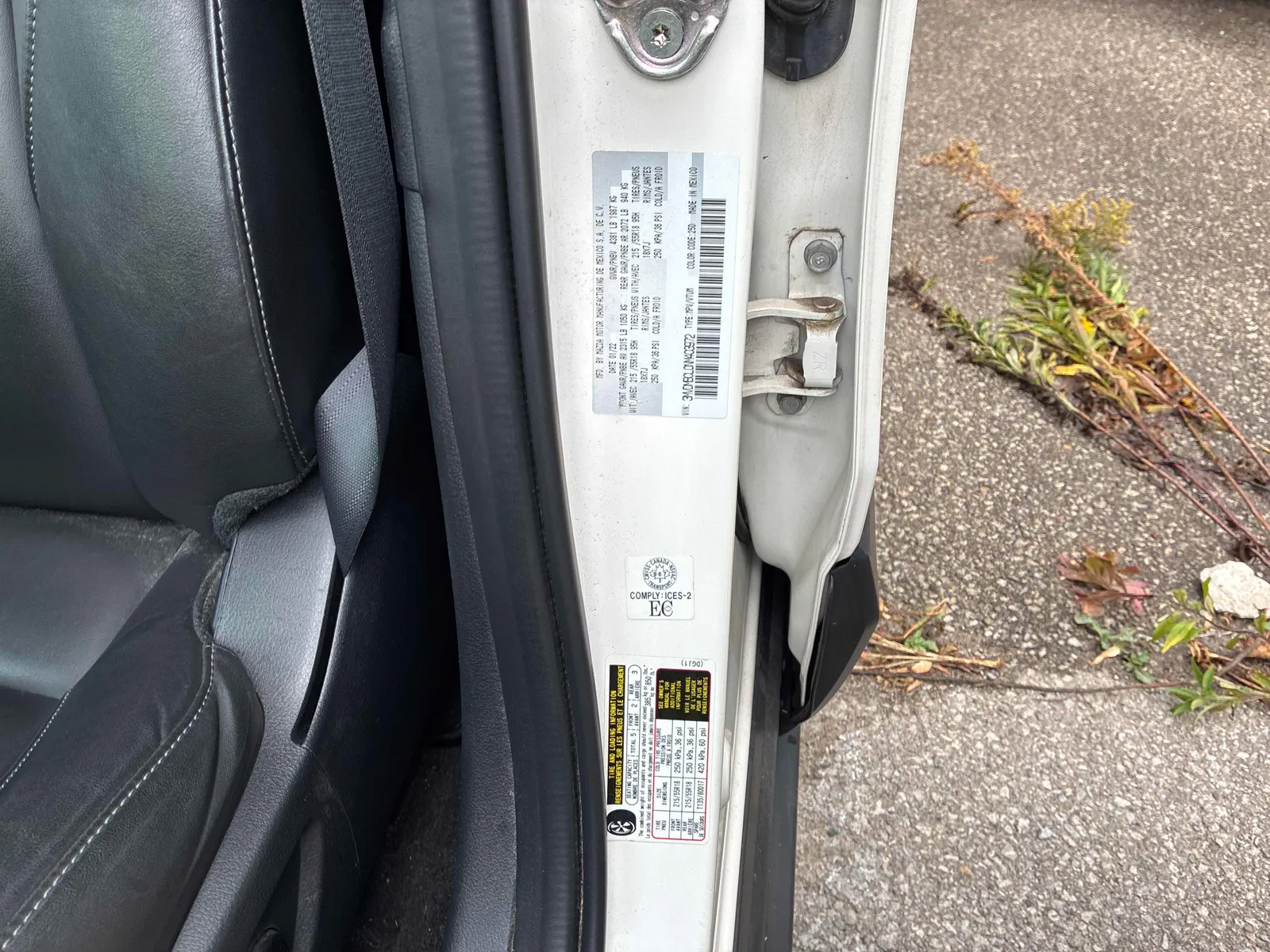 Additional Photo