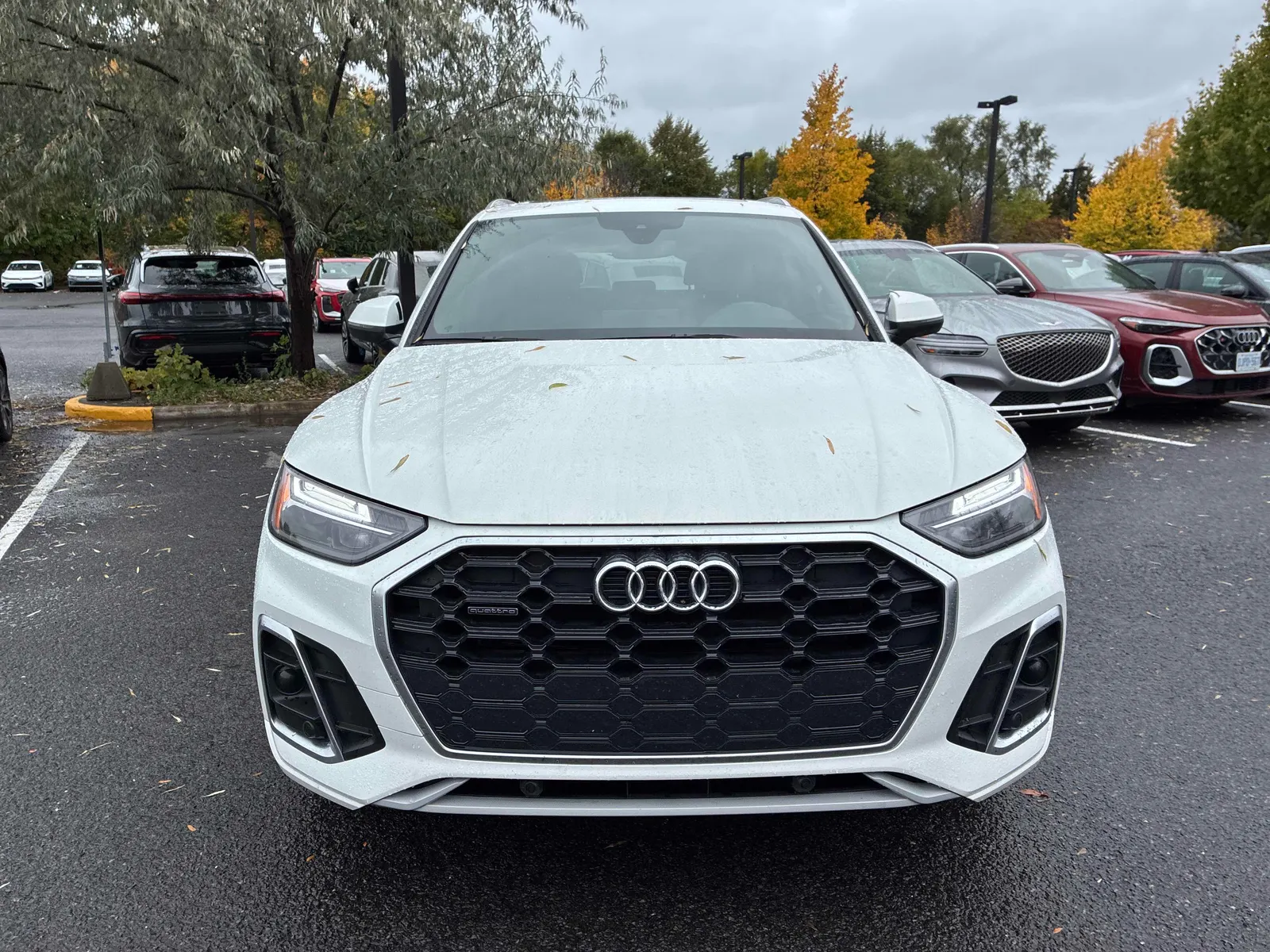 Front