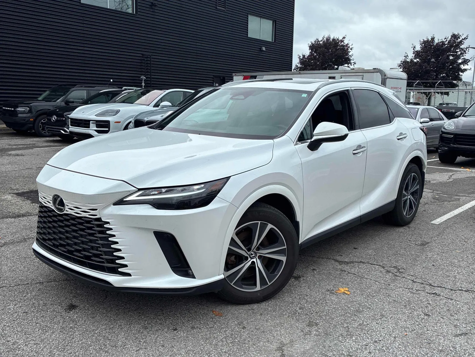 2024 Lexus RX