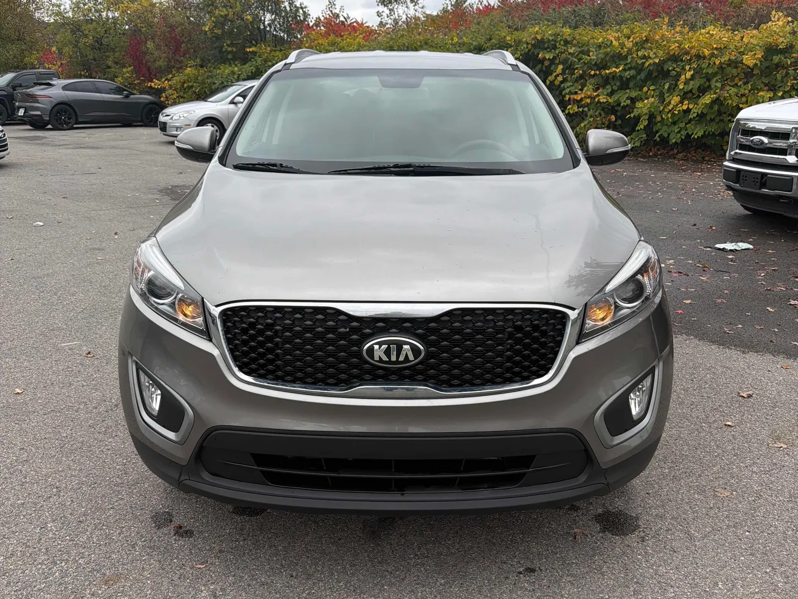 Front