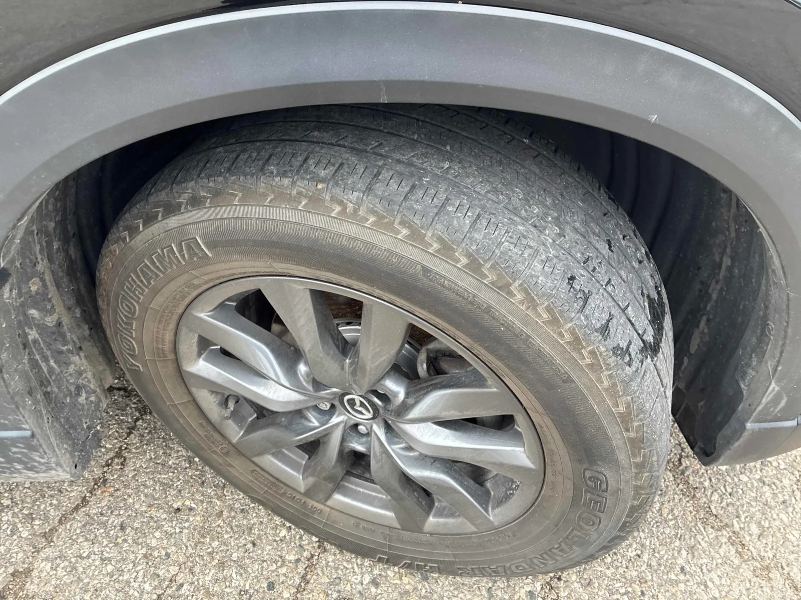 Tire