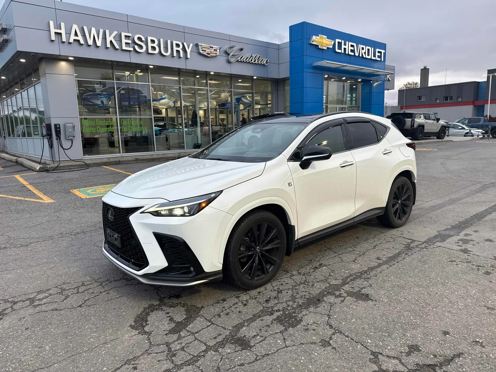 2024 Lexus NX