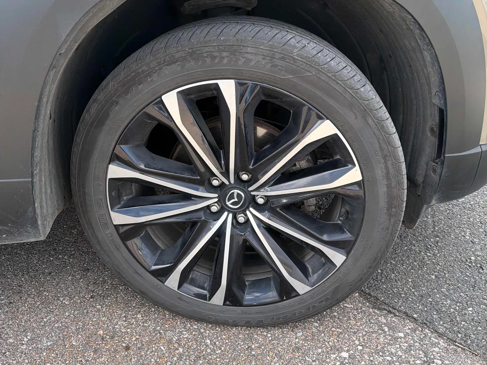 Tire
