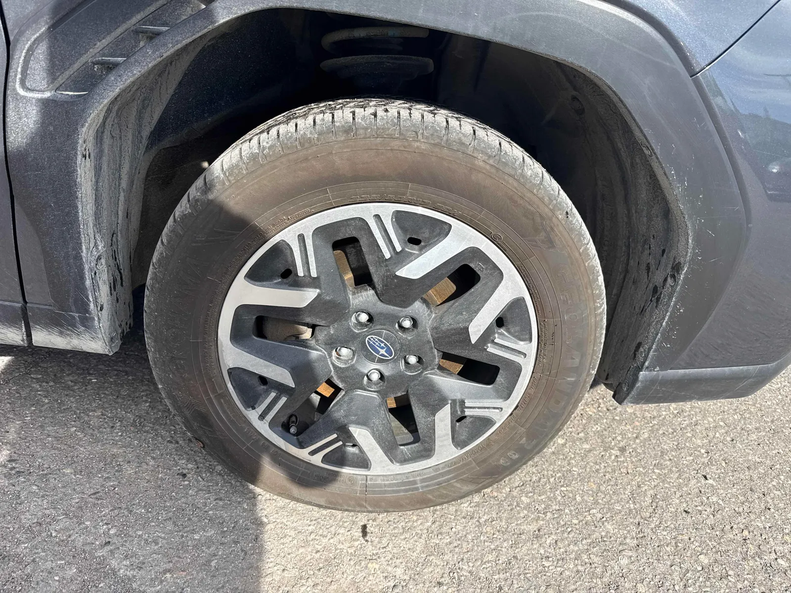 Tire
