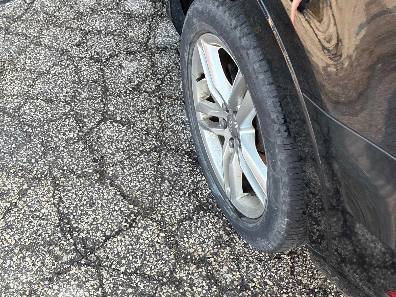 Additional Photo