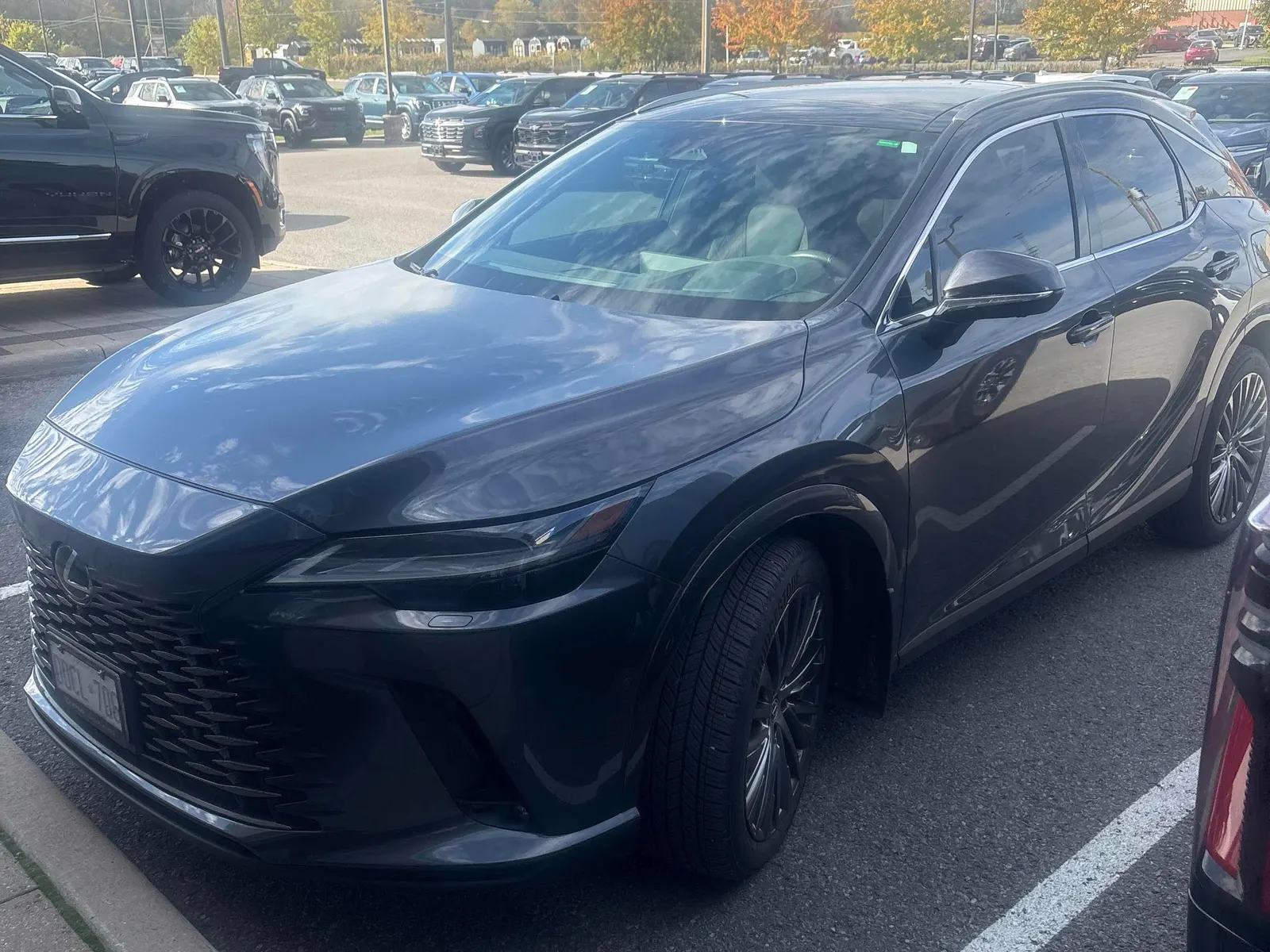 2025 Lexus RX