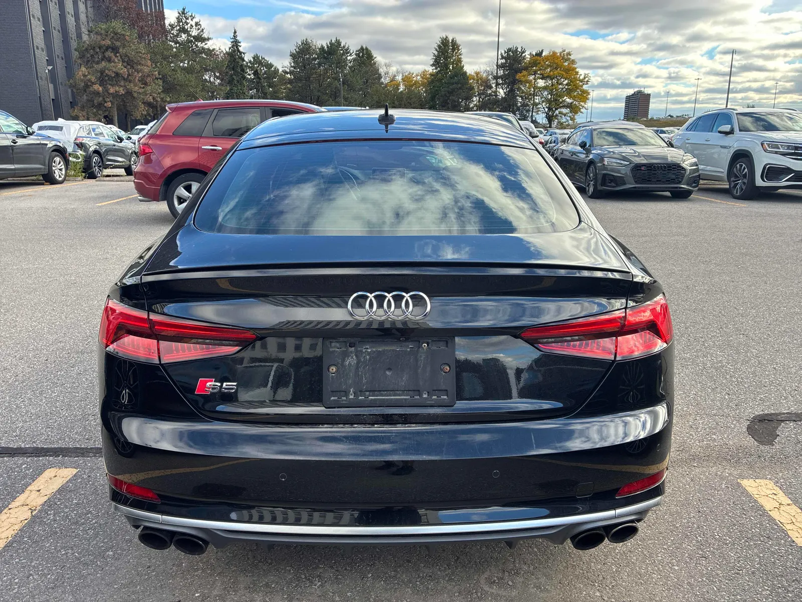 Back